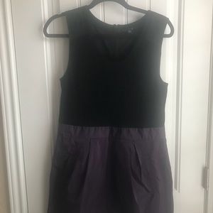 THEORY Dress Size 12